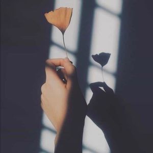 Meet your Posher, Analy